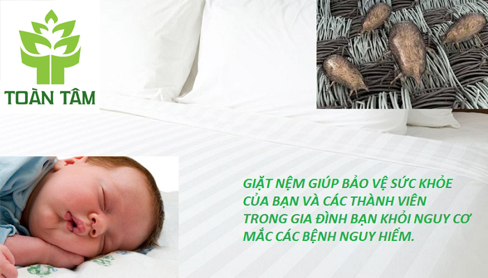 NHỮNG LÍ DO KHIẾN CHÚNG TA NÊN GIẶT NỆM NGAY LẬP TỨC
