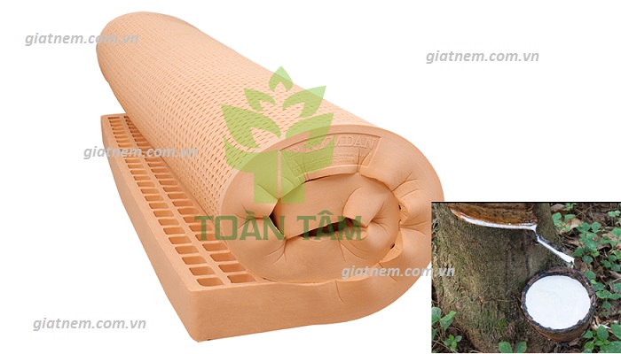 NHỮNG PHƯƠNG PHÁP SAI LẦM KHI GIẶT NỆM CÓ CHẤT LIỆU TỪ CAO SU TỰ NHIÊN
