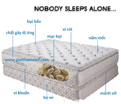 Cách vệ sinh nệm Cách vệ sinh nệm