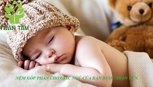 VỆ SINH NỆM VÀ NHỮNG VẤN ĐỀ VỀ SỨC KHỎE